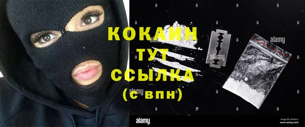 стафф Арсеньев