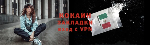 стафф Арсеньев
