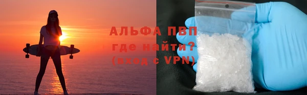 стафф Арсеньев