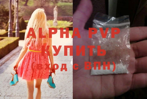 стафф Арсеньев