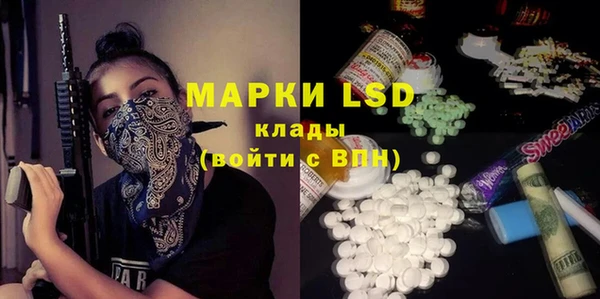 стафф Арсеньев